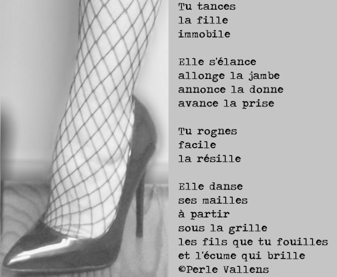 Résille poème photo