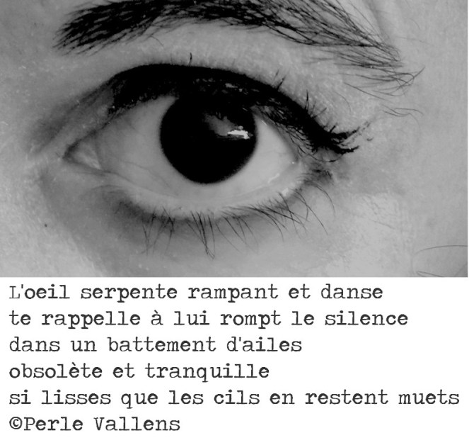 photo poésie oeil.jpg