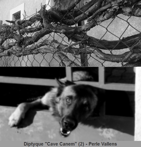 DIPTYQUE chien 2 red