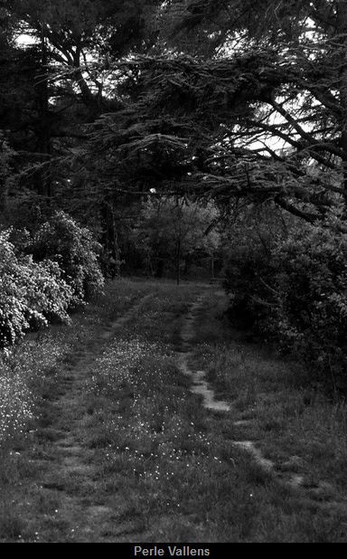 chemin ©Perle Vallens