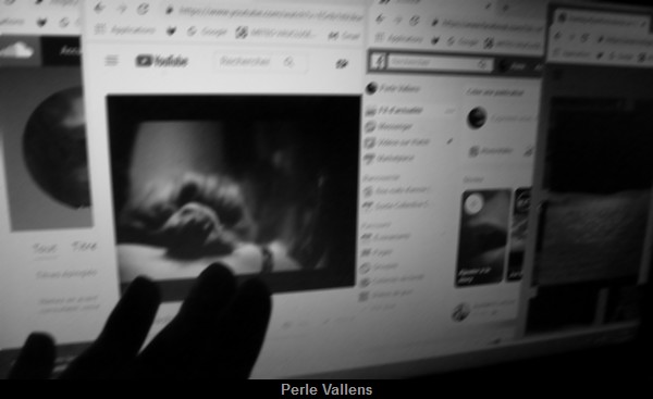 vie 2.0. Perle Vallens