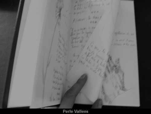 Carnet ©Perle Vallens