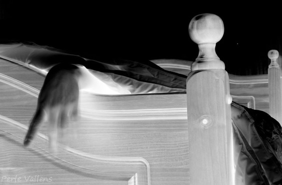 Lit profond1 ©Perle Vallens