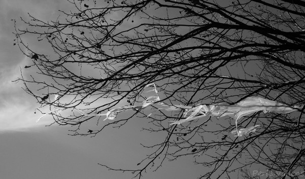 plastique ©Perle Vallens