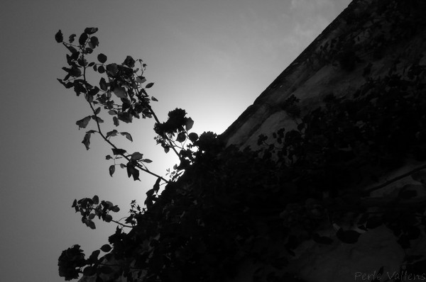 gravé dans le noir©Perle Vallens