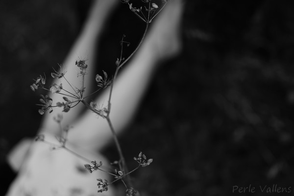 Conte de fée ©Perle Vallens