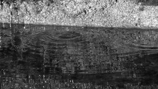 Des ronds dans l'eau©Perle Vallens