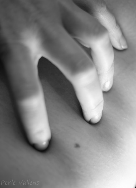 Eperviere ©Perle Vallens