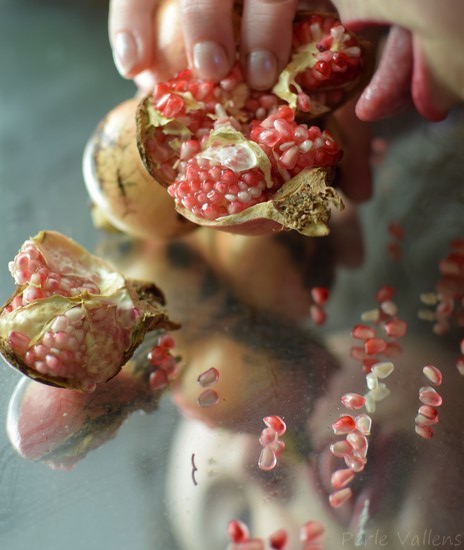 Grenade ©Perle Vallens