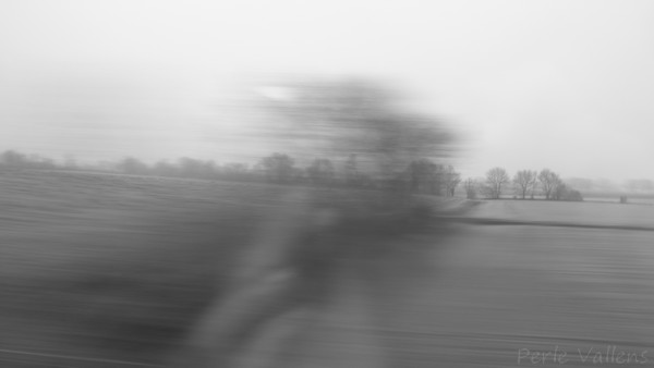 Reflet en train©Perle Vallens.jpg