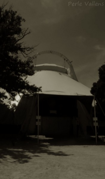 barnum©Perle Vallens