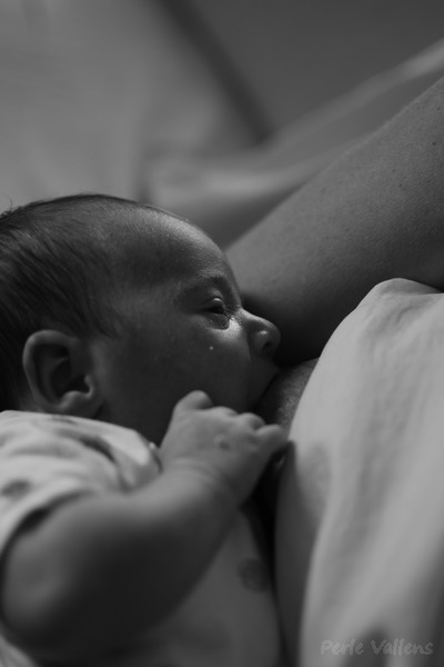 chromosome x©Perle Vallens.jpg