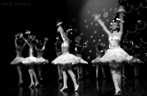 flocon de neige©Perle Vallens.jpg