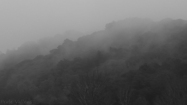 bradycardie©Perle Vallens