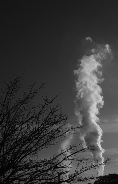 fumée sans feu©Perle Vallens.jpg