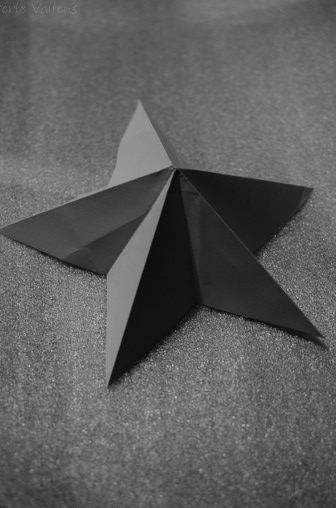 etoile©Perle Vallens