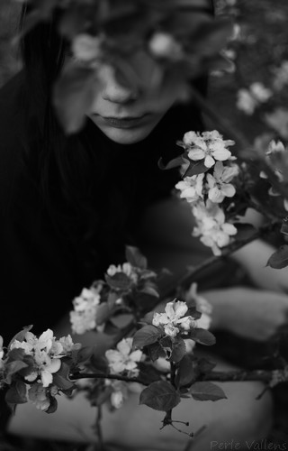jeune fille sous les fleurs©Perle Vallens