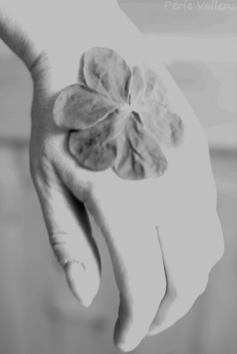 impression vague©Perle Vallens