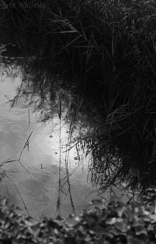 si l'eaur©Perle Vallens