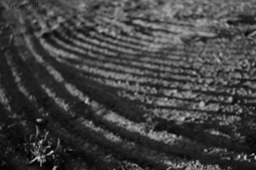 terre©Perle Vallens