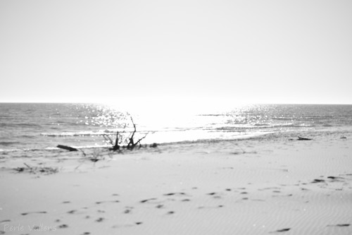 phosphènes©Perle Vallens