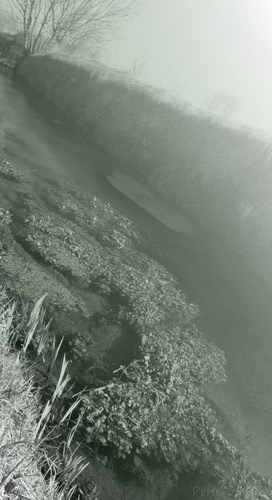 rivière©Perle Vallens