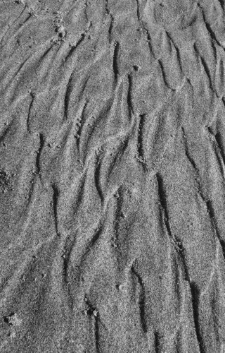 sable©Perle Vallens