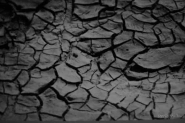 terre sèche©Perle Vallens