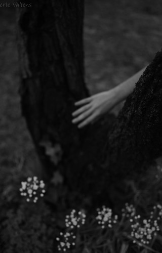 mi lumière©Perle Vallens